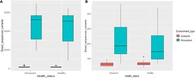 Differentiation and Variability in the Rhizosphere and Endosphere Microbiomes of Healthy and Diseased Cotton (Gossypium sp.)